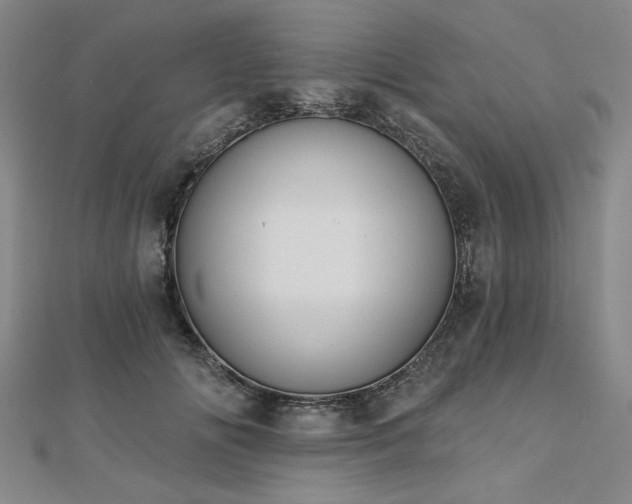 X0000112760702200908271619