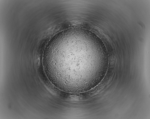 X0000112760703200908271619
