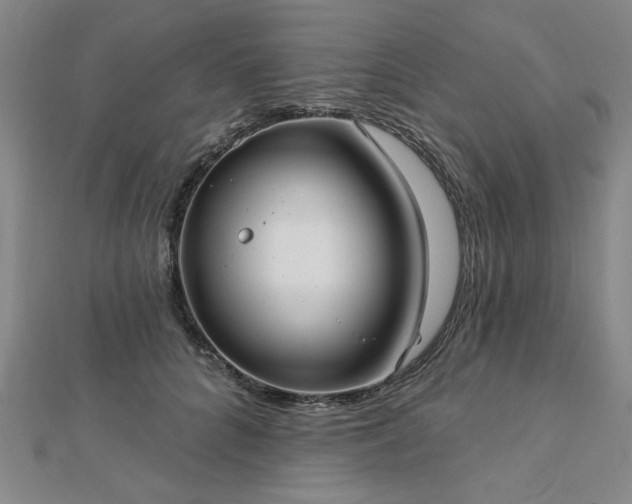 X0000112760704200908271619