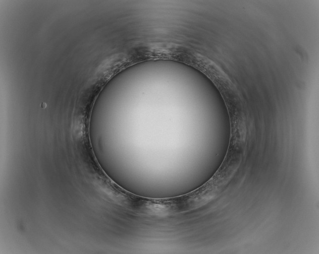 X0000112760706200908271619