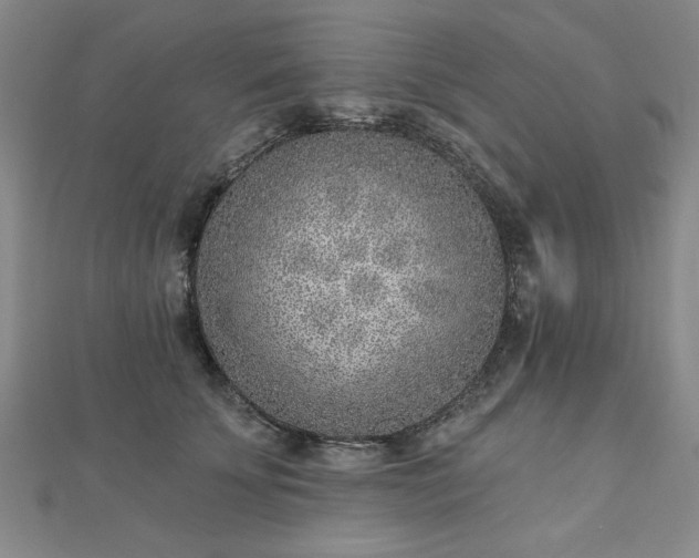 X0000112760707200908271619