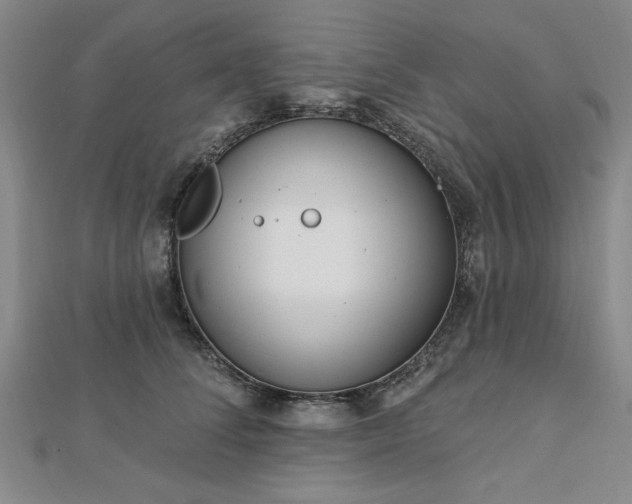 X0000112760708200908271619
