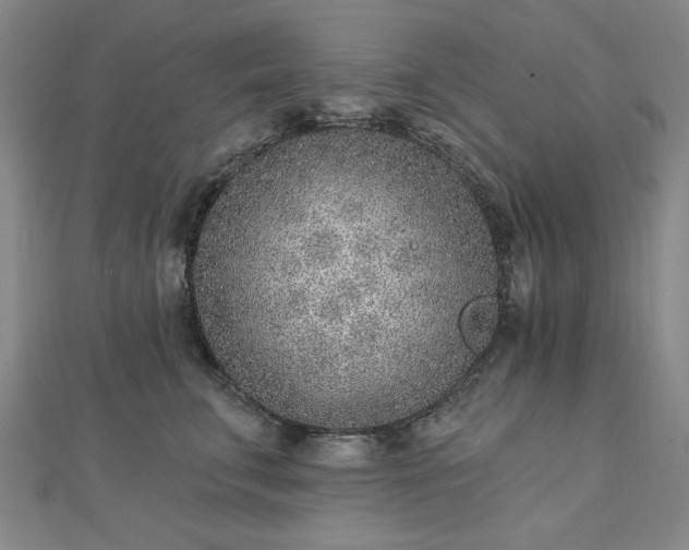 X0000112760711200908271619