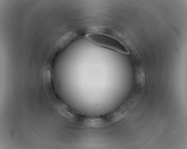X0000112760716200908271619