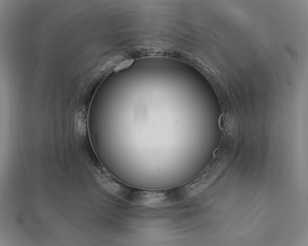 X0000112760719200908271619