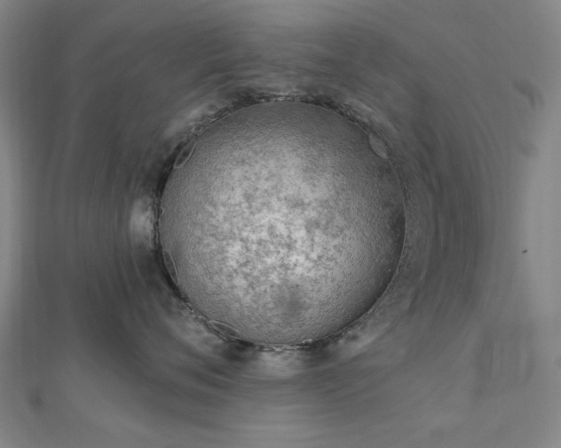 X0000112760720200908271619