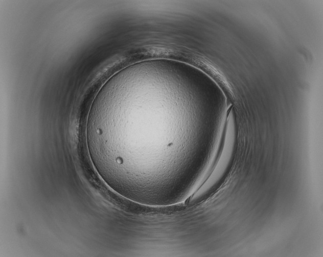 X0000112760722200908271619