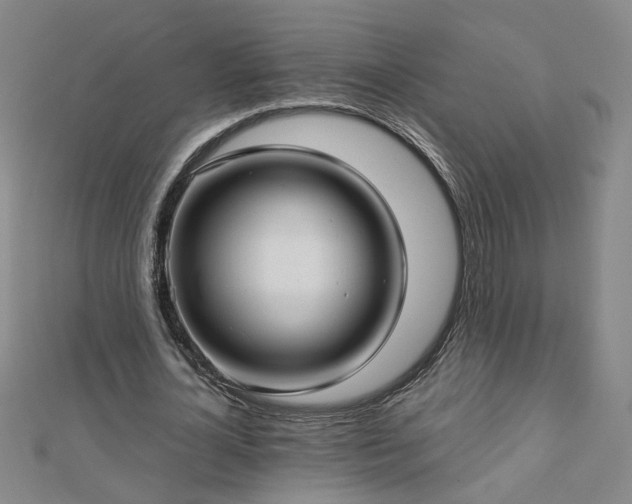 X0000112760724200908271619
