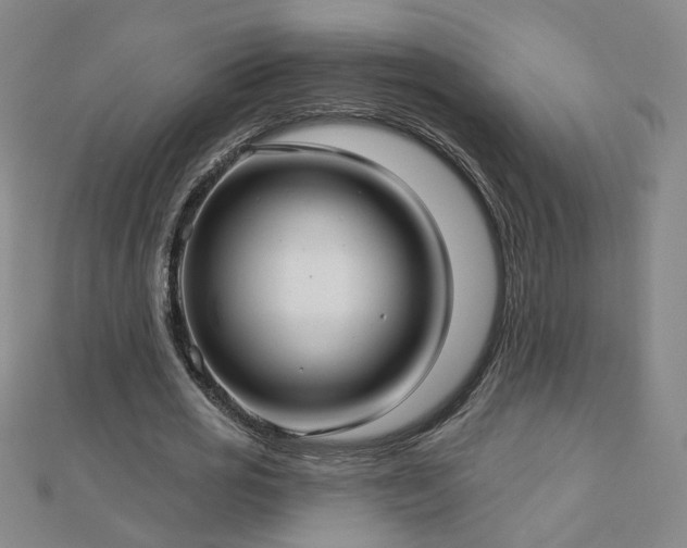 X0000112760725200908271619