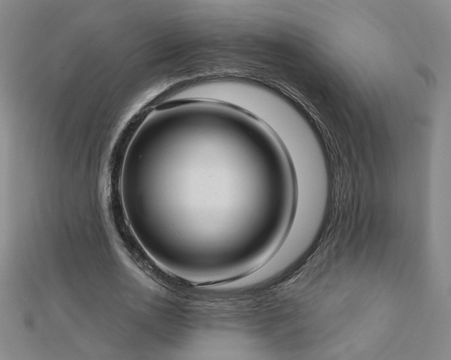 X0000112760726200908271619