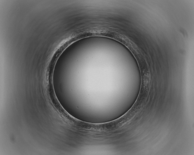 X0000112760727200908271619