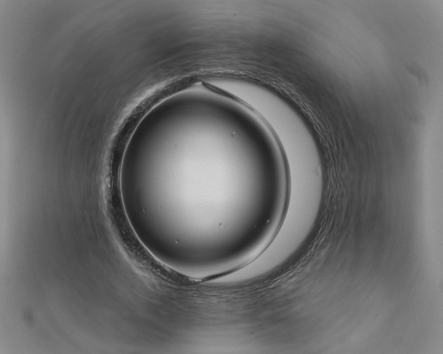 X0000112760728200908271619