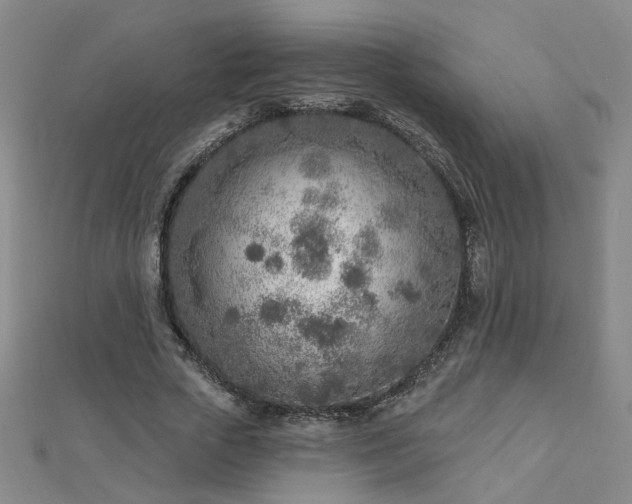 X0000112760729200908271619