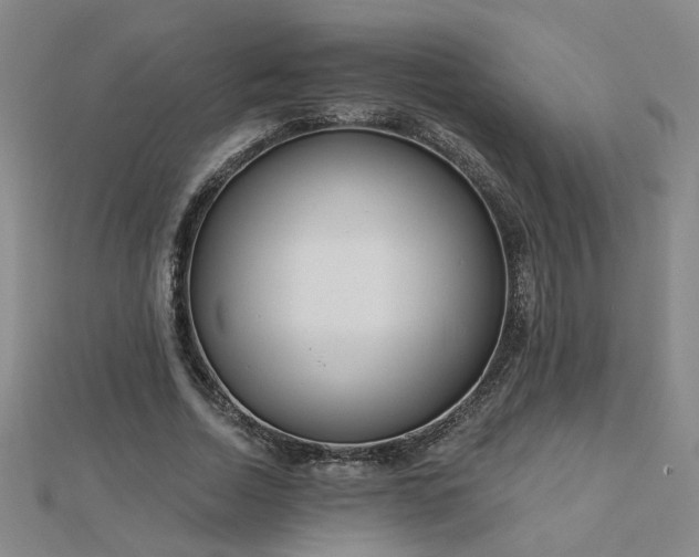 X0000112760730200908271619