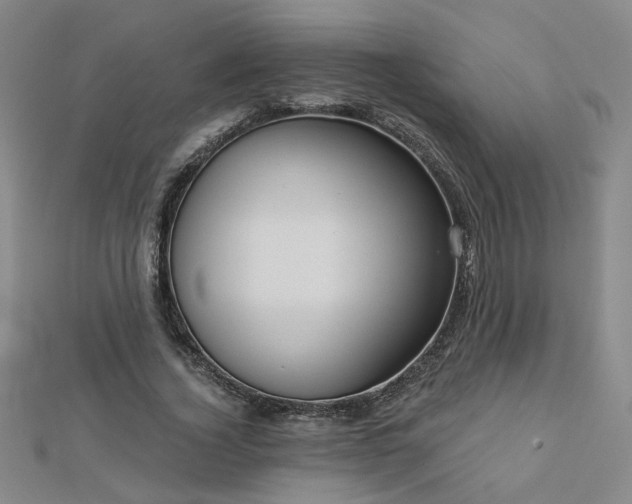 X0000112760732200908271619