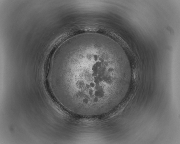 X0000112760733200908271619
