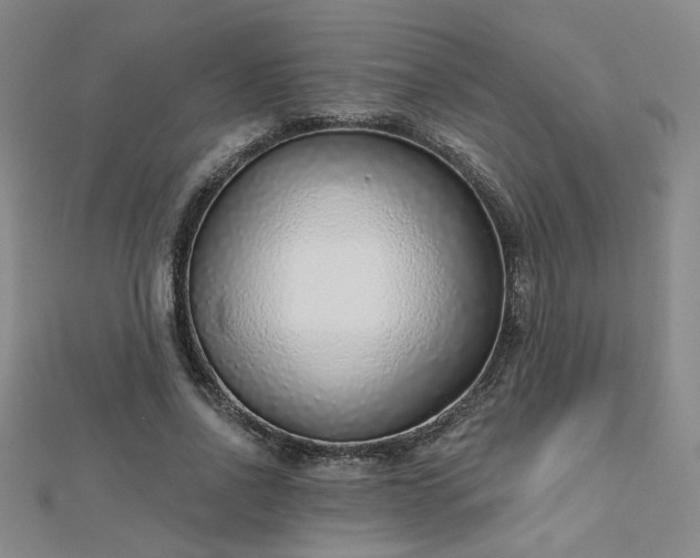 X0000112760734200908271619