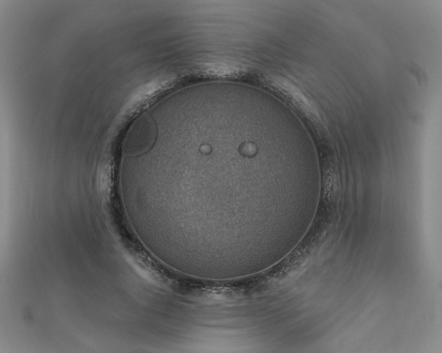 X0000112760736200908271619