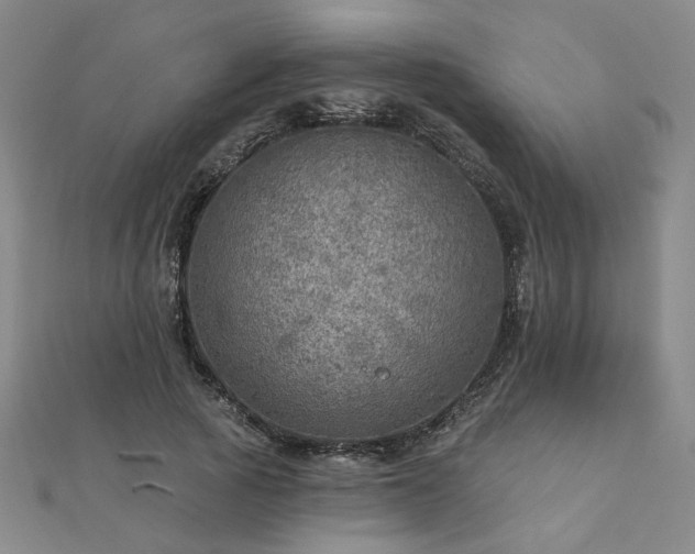 X0000112760737200908271619