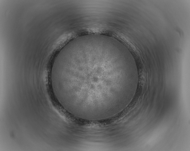 X0000112760738200908271619