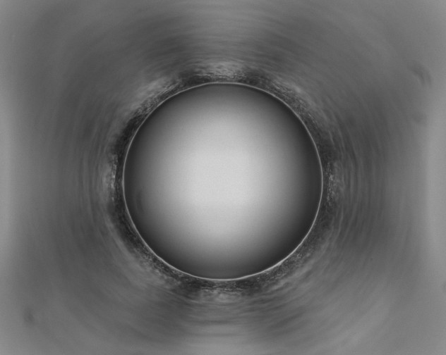 X0000112760739200908271619