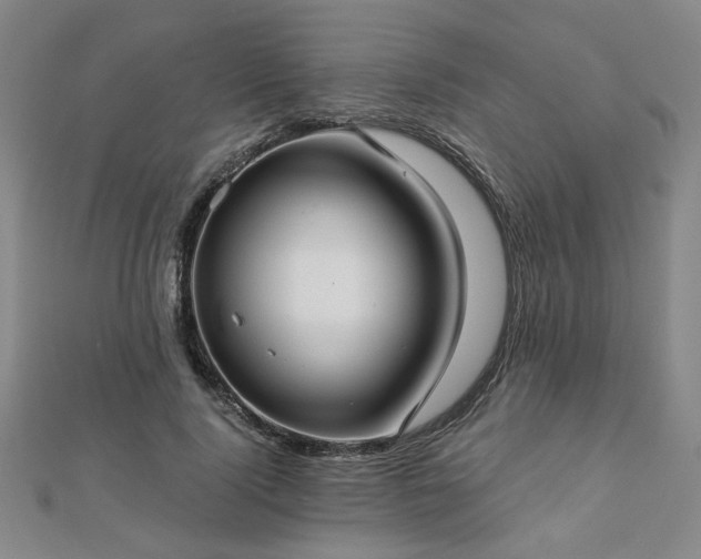 X0000112760740200908271619