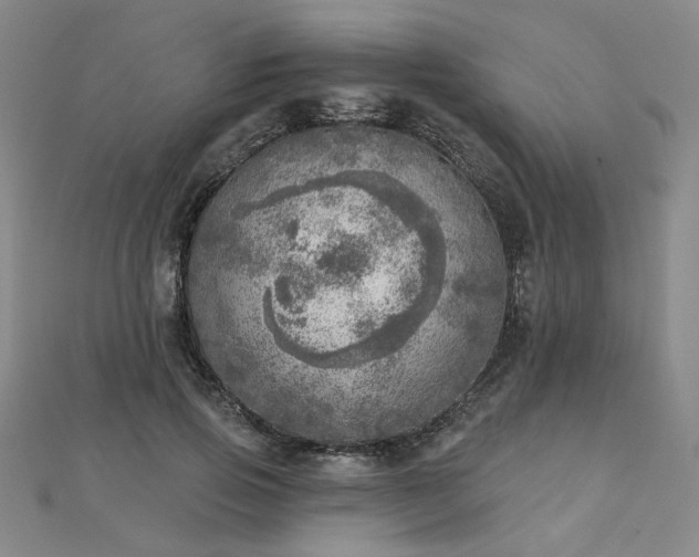 X0000112760741200908271619