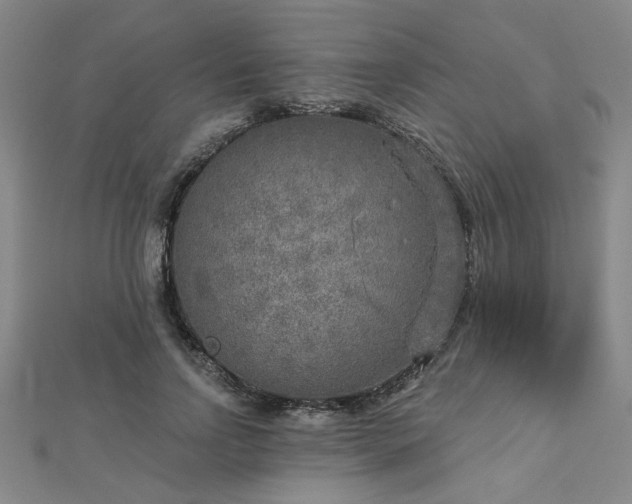 X0000112760742200908271619