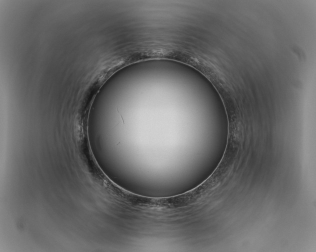X0000112760743200908271619