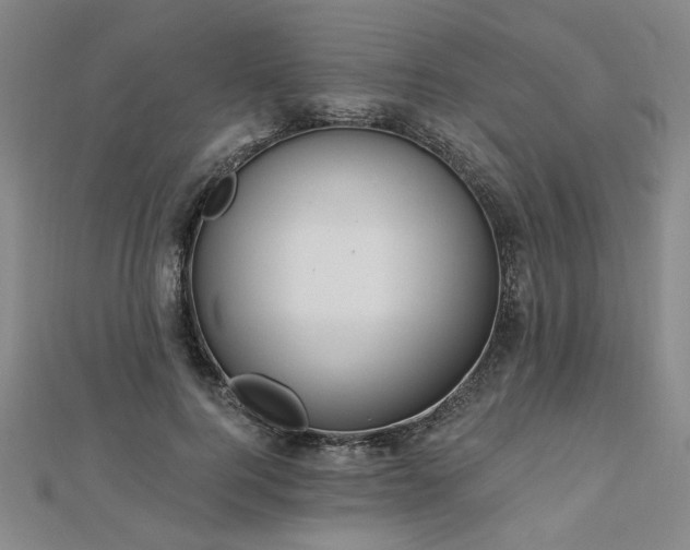 X0000112760744200908271619