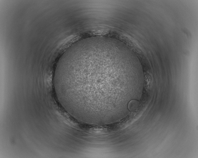 X0000112760745200908271619