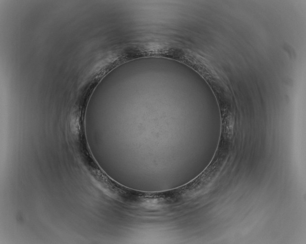 X0000112760746200908271619