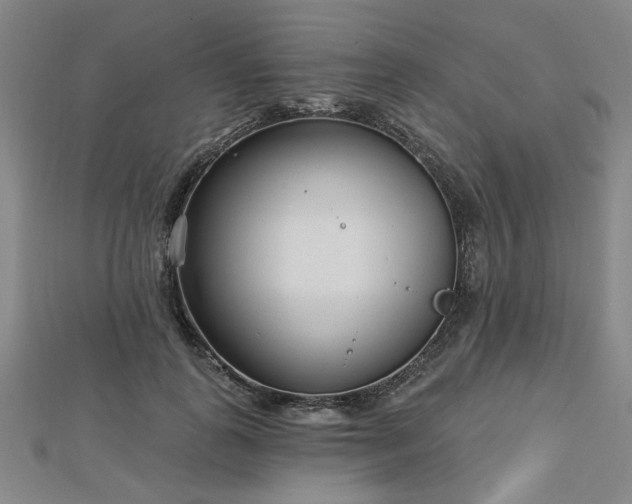 X0000112760747200908271619