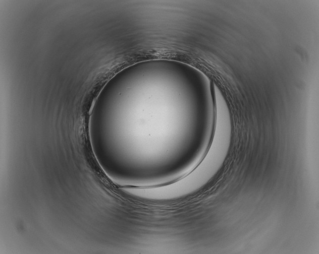 X0000112760748200908271619