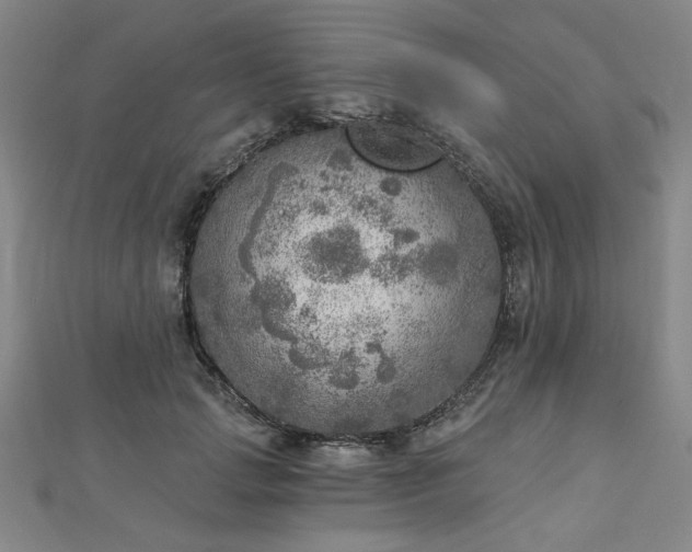 X0000112760749200908271619