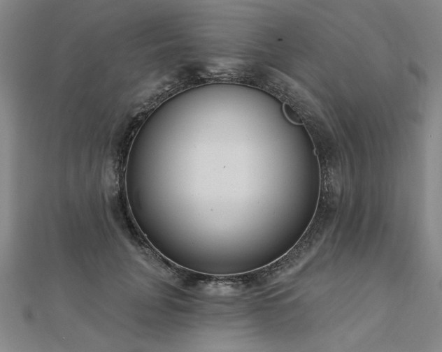 X0000112760751200908271619