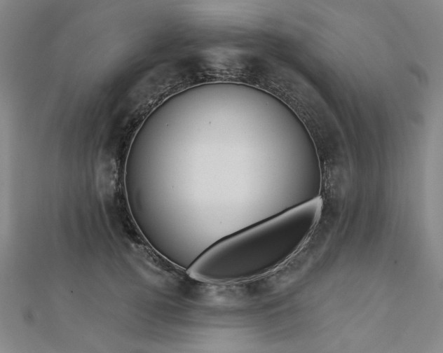 X0000112760752200908271619