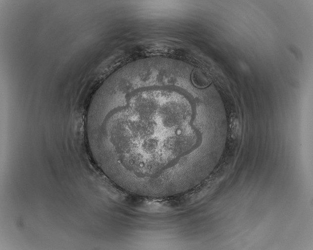 X0000112760753200908271619