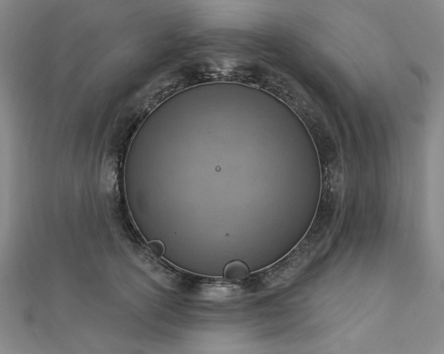 X0000112760754200908271619