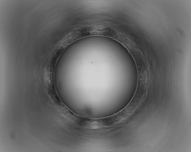 X0000112760755200908271619
