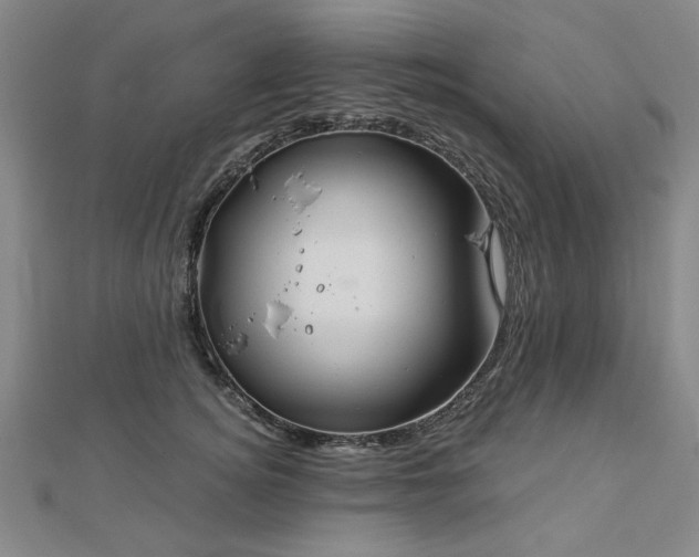 X0000112760756200908271619