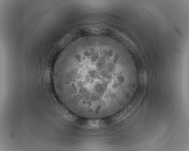 X0000112760757200908271619