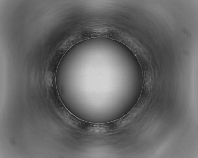 X0000112760758200908271619