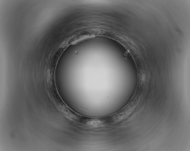 X0000112760759200908271619