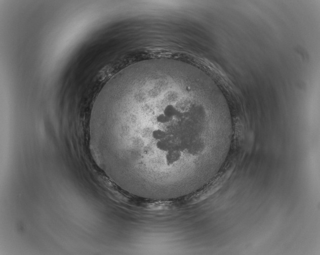 X0000112760761200908271619