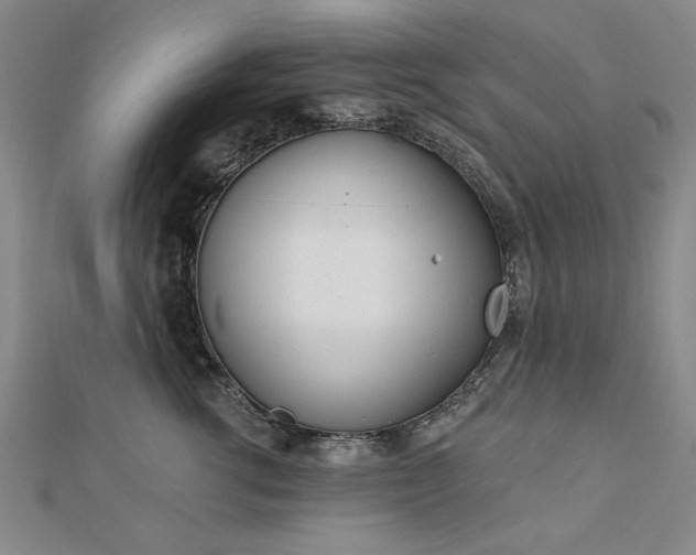 X0000112760762200908271619