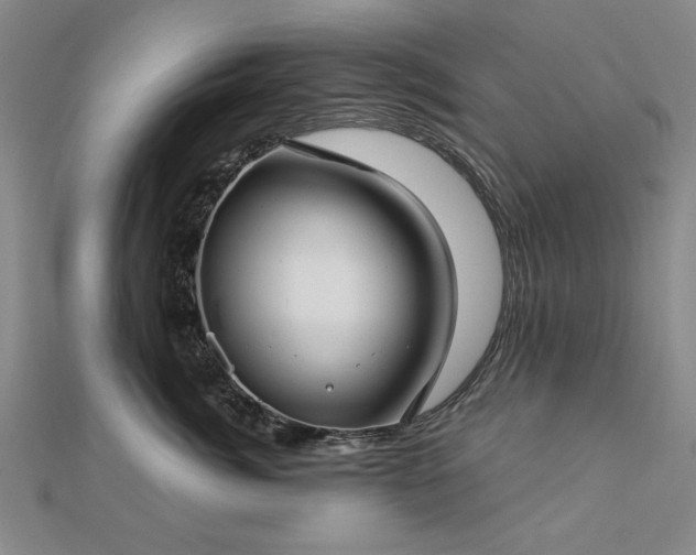 X0000112760764200908271619