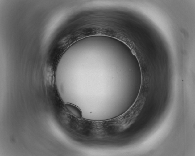 X0000112760766200908271619