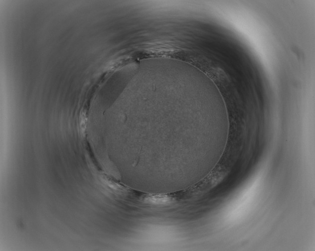 X0000112760767200908271619