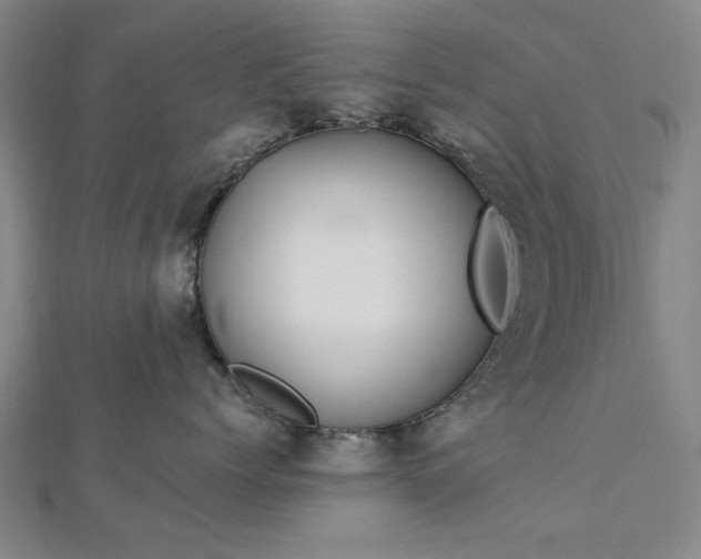 X0000112760768200908271619